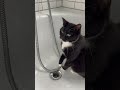Give me some water…