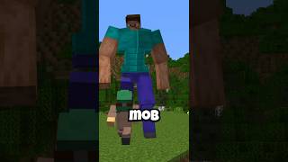 Illegal Minecraft Things #cursed #shorts #minecraft
