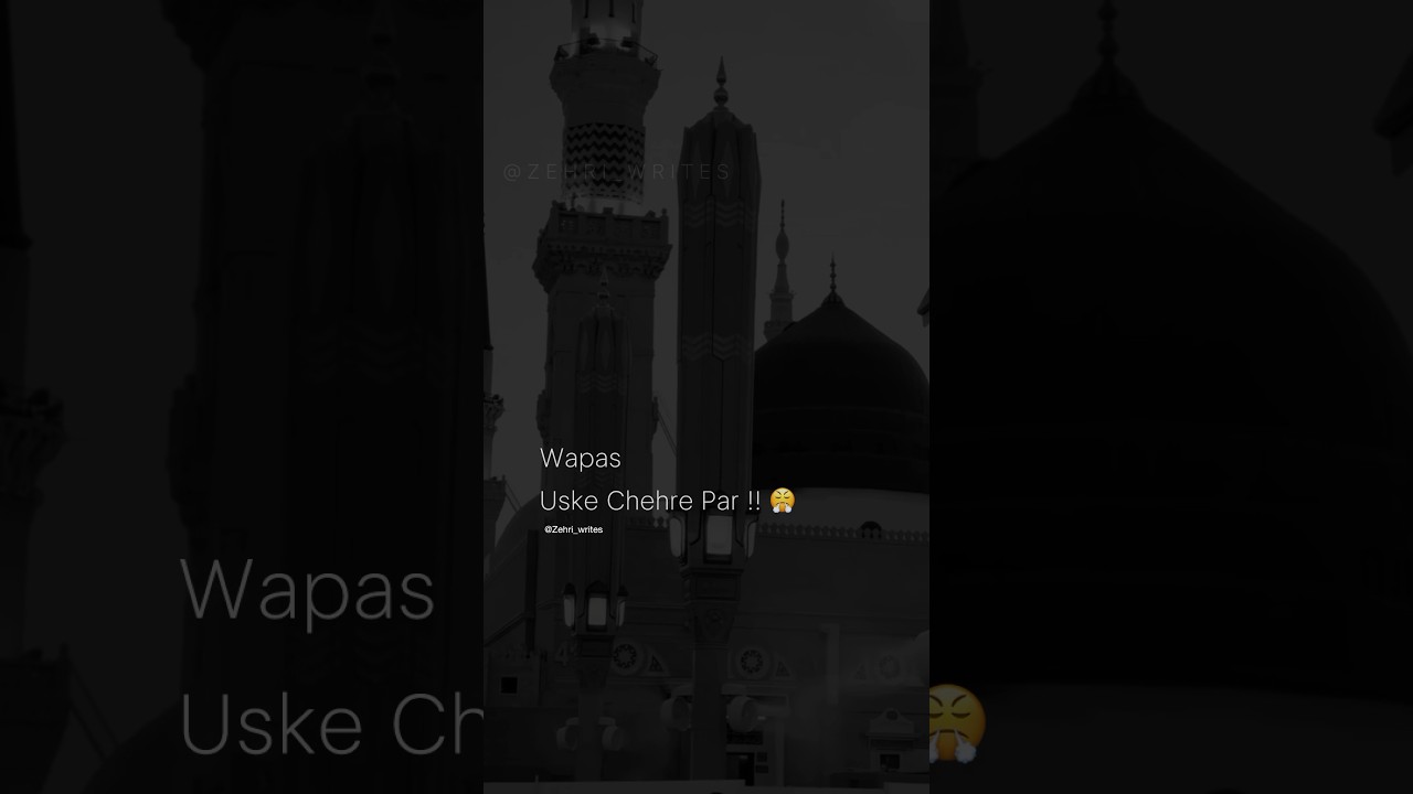 Eid Milad Un Nabi ﷺ Status | Zehri Writes status | Islamic Lines Status ❤️