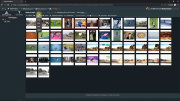 Data management on Dataloop.ai