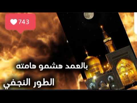 لو بيده يوصلج زحف بالغيره معروف ابا الفضل اباالفضل العباس الامام العباس ياعباس السيدة زينب الكبرى