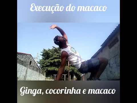 Prof Luan capoeira, Tutorial Macaco