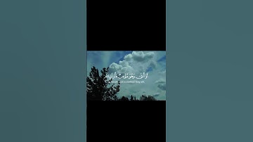 راحه نفسيه 😴🎧💓 /قران كريم بصوت القارئ ياسر الدوسري 🤍 #قران_كريم #حالات_واتس_اب_دينيه #استغفر_الله #