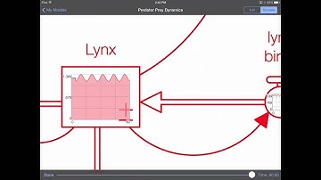 Stella Modeler for iPad Tutorial: Exploring Results