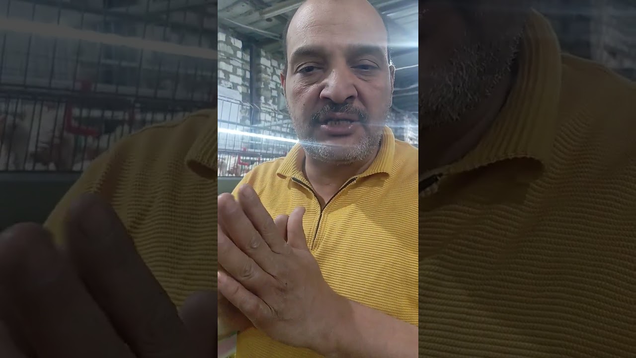 التهوية علي الحراره الخارجية والتصميم المثالي مع الاورجانيك بعائله البيوفاكتور بفضل الله مكملين