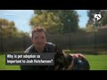 Josh Hutcherson wants people to give big shelter dogs a chance