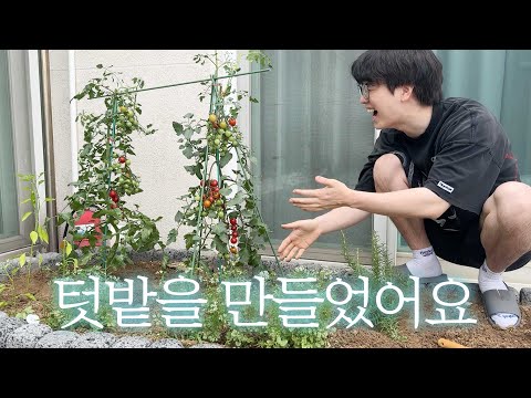 I made a garden at home