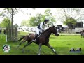 Badminton Horse Trials 2016 - Cross Country