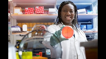 Application Webinar: Microbiology Masters Programs