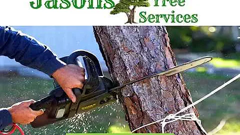 Tree Removal Phoenix | Tree Removal in Phoenix