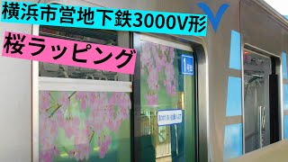 【3000V形に桜のラッピング】3611編成 春の桜ラッピング