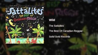 Video thumbnail of "The Sattalites - Wild"