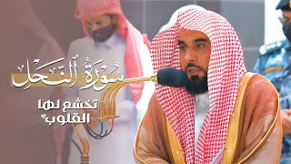 ترنم يأسر اللب ويخشع القلب للشيخ عبدالله الجهني من سورة النحل | فجر السبت 20-12-1444هـ