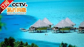 [Homeland Dreamland] 20161122 | CCTV-4