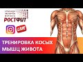 Косые мышцы живота - упражнения, анатомия, советы от Дмитрия Семёнова