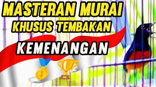 Masteran Murai Batu Khusus Tembakan Kemenangan dengan Materi Murai Juara !! 