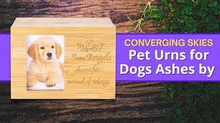 Pet Urns for Dogs Ashes by CONVERGING SKIES