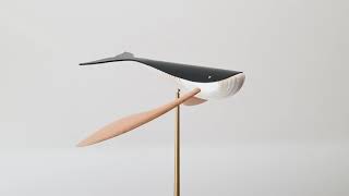 Hyunjin Seoul Studio - Flying Whale