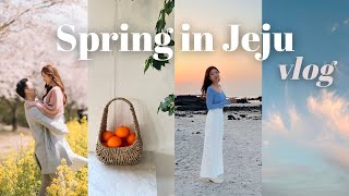 JEJU VLOG  Cherry blossoms, Seongsan Ilchulbong, aesthetic cafes, getting engaged  !