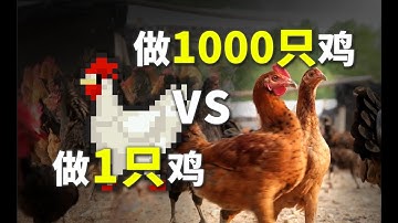 为了搞清楚AI集群，我做了一群鸡！