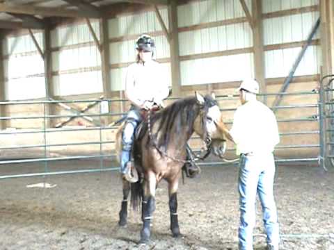 Tucker the Mustang & Cindy Branham Week 3!