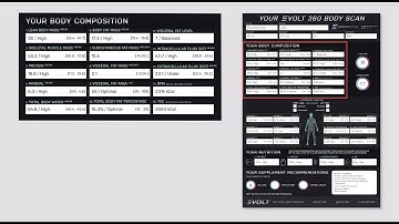 Your Evolt 360 Body Composition Scan results explained