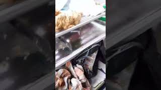 Ceker Krispy Usus Krispy Kulit Krispy Dan Freed Chiken Murah Di Pasar Gordon Bdg