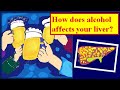 How does alcohol affects the liver