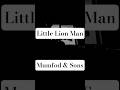 Little Lion Man - Mumford &amp; Sons #shorts #cover #acousticguitar #mumfordandsons