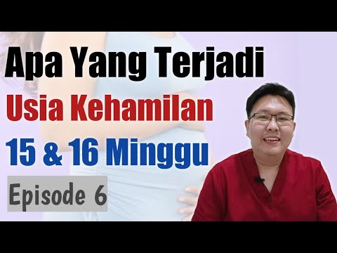 Video: Apa Yang Berlaku Selepas 15 Minggu Kehamilan