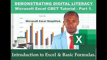 Digital Literacy in Excel: Learn the Basics and Advanced Features - Part 1
