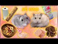 MOSTREI TODOS OS PRODUTOS QUE USO DAS HAMSTERS