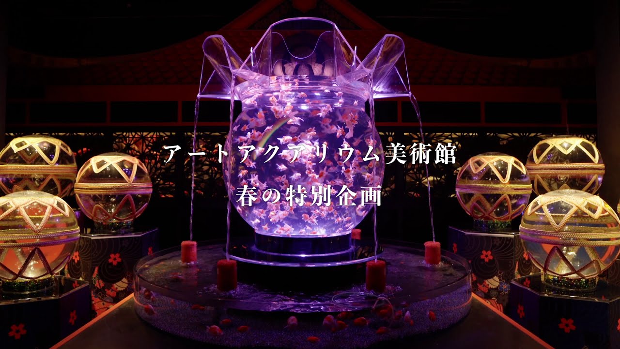 春の企画展 桜金魚 舞い泳ぐ アートアクアリウム美術館 Youtube