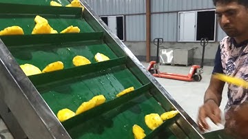 Pineapple Slices Conveyor Belt Dryer - Part - 1, by Mahatma Brijmohan Techniclas, India