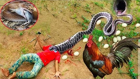 Primitive Technology - Build Underground Basket Snake Trap VS Baby Duck