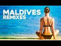MALDIVES Remixes - Beyoncé, Miley Cyrus, Taylor Swift, and More