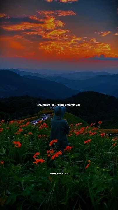 You Look So Broken When You Cry Lyrics Heat Waves - Glass Animals ( You look so broken when you cry) lyrics