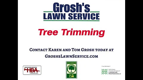 Tree Trimming Clear Spring Maryland