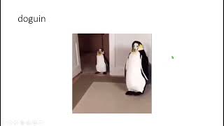 Doguin