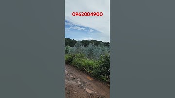 800m2 4 tỉ mặt tiền đường nhựa chính thôn Đa Quý, xã Xuân Thọ, Đà Lạt. P10 #short