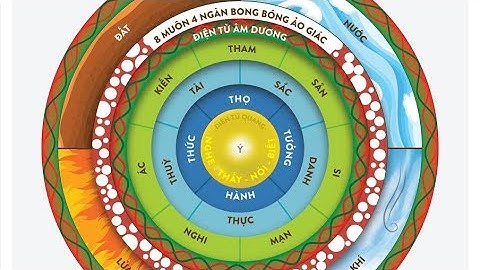 Master Mentor Lê Quế Minh - Cấu Trúc Con Người