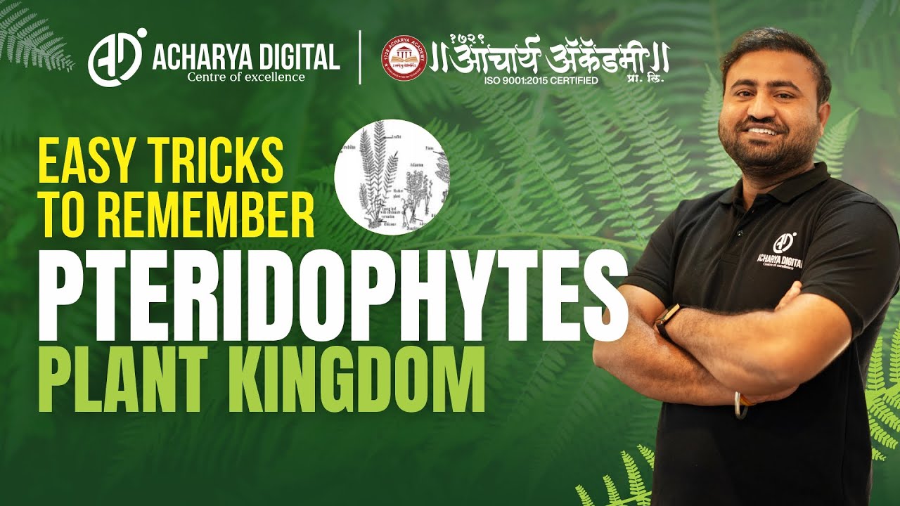 Easy Tricks to Remember Pteridophytes  Plant Kingdom Made Simple