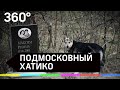 15 лет собака живёт у памятника погибшим хозяевам