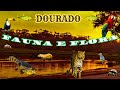 Dourado fauna e flora