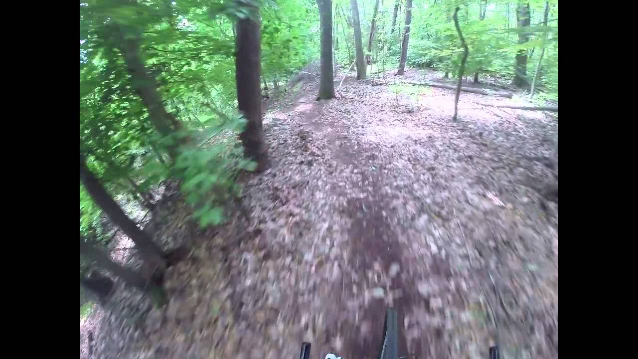 Darwin's Revenge YouTube