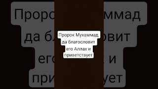 Пророк Мухаммад да благословит его Аллах и приветствует | #вера #quran #напоминание