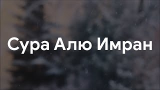 Сура 3 «Алю Имран» (Семейство Имрана) | Аяты [169 - 173] | @TareqMohammadOfficial