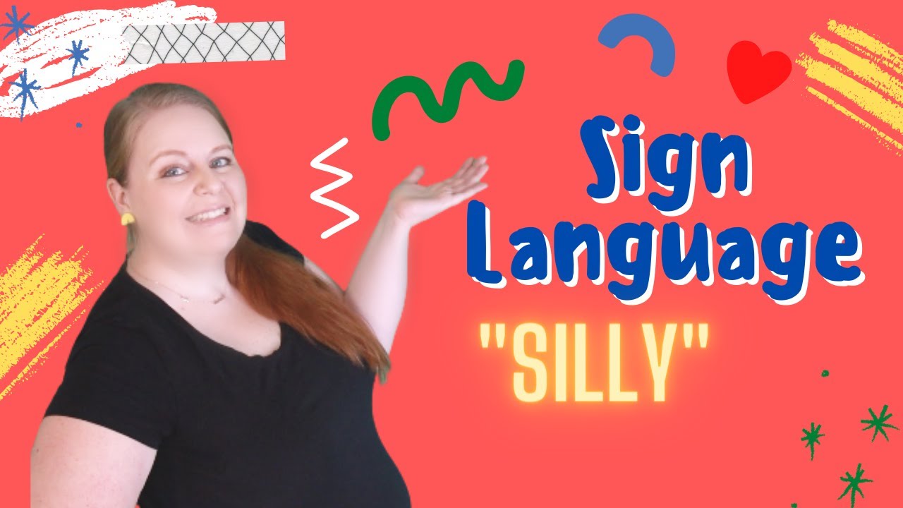 Silly ASL Baby Sign Language Baby ASL Learn Sign Language Learn