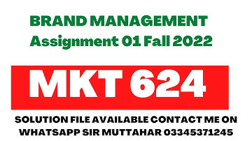 MKT 624 solution fall 2022