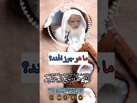 ما هو جوز الهند الشيخ ابن عثيمين